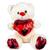 Urso Teddy Pelúcia Médio 30cm Eu Te Amo Coração Presente - Bee Toys Vermelho