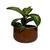 Vaso  Bacia para Plantas Redondo de Polietileno 39x21cm Marrom