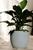Vaso Bojo Texturizado N2 Para Plantas Flores Jardim Casa Sala Cimento