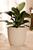 Vaso Bojo Texturizado N2 Para Plantas Flores Jardim Casa Sala Creme
