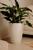 Vaso Cone Texturizado em Polietileno Escovado Planta Flor Branco