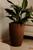Vaso Cone Texturizado em Polietileno Escovado Planta Flor Marrom