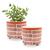 Vaso De Plantas Flores Redondo Decorativo Arranjo Sala 1,3l Vermelho