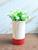 Vaso Decorativo Plantinhas + Calendário Mesa Permanente- Kit vermelho