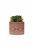 Vaso em Cimento com Suculenta Planta Artificial Cachepot Laranja