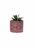 Vaso em Cimento com Suculenta Planta Artificial Cachepot Pink
