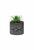 Vaso em Cimento com Suculenta Planta Artificial Cachepot Preto