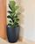 vaso para decoração plantas naturais artificiais em polietileno tipo coluna redondo Preto