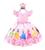 Vestido Infantil Festa Luxo Princesas + Tiara de Cora Rosa