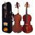 Violino Eagle Canhoto 4/4 Envernizado + Estojo Ve441 Eagle Madeira