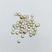 Dourad Tacha 4mm 5736 -10g