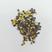 Amarel Crist 3mm 5801 -10g