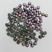 AB lum Tacha 4mm 5326 -10g