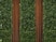 Placa Buxinho Standard Artificial