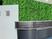 Placa Trevo Artificial