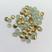 Ouro V Tacha 5mm 5818 -20g