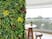 Jardim Tropical