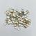 Dourad Tacha 4mm 5739 -25g