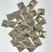 Ouro V Spike 10mm 5371 -25g