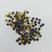 Amarel Crist 2mm 5837 -25g