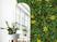 Jardim Tropical