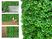 Placa Trevo Artificial