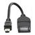 Mini USB