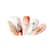 TH-1028 e TH-1029
