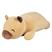 Capivara