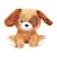 Cachorro