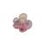 Rosa bb