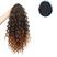 Ombre Chocolate