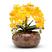 Amarelo