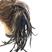 Castanho Acaju com mechas Douradas