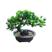 A01