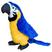 Arara azul