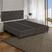 Suede Crush Cacau