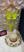 Amarelo neon