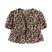 Leopardo