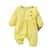Zt1096, 17, Amarelo