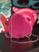 Rosa pink
