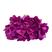 Roxo
