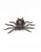 Aranha