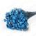 Azul Turqueza