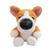 Corgi