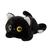 40cm, Gato preto
