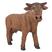 Marrom