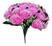 Rosa Choque - TC4581-5