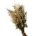 Plumas com Avenca