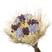 Lilas claro